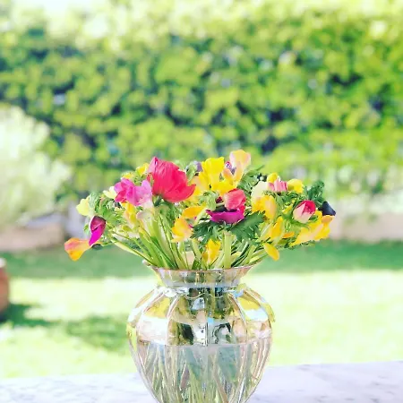 בית נופש Rio *